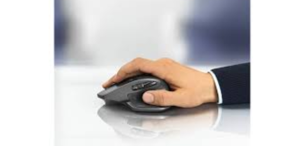 Master 2S Wireless Mouse